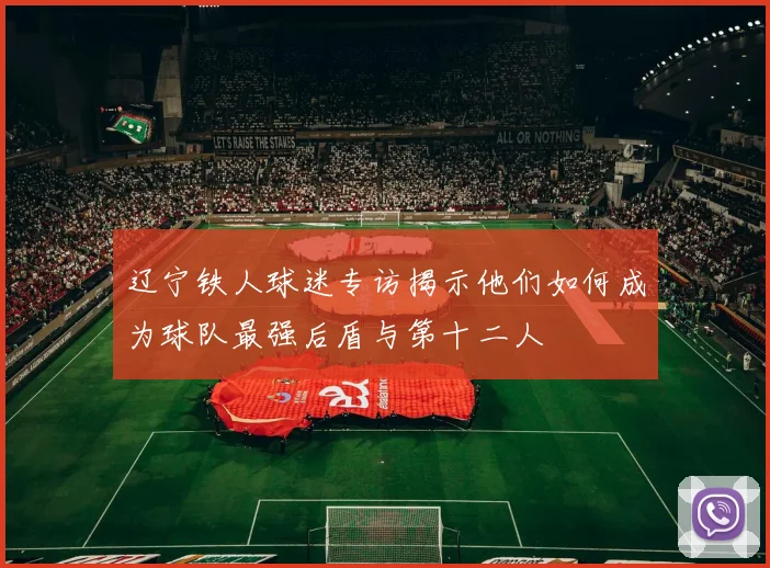 辽宁铁人球迷专访揭示他们如何成为球队最强后盾与第十二人