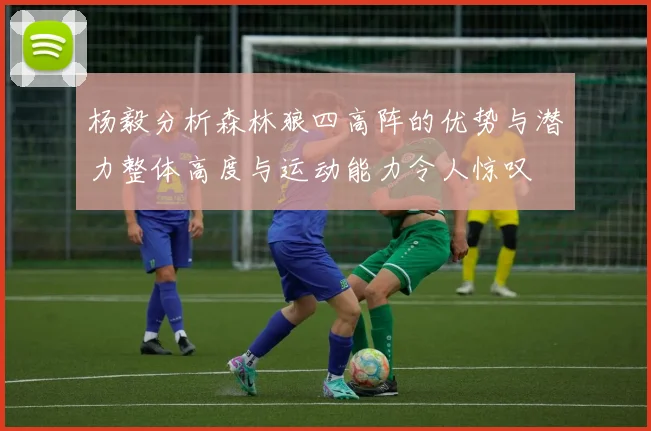 杨毅分析森林狼四高阵的优势与潜力整体高度与运动能力令人惊叹